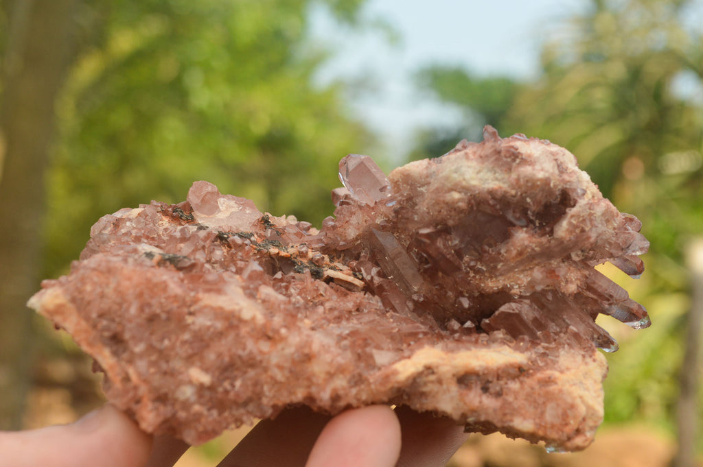 Natural Red Hematoid Quartz Specimens  x 2 From Zambia - TopRock