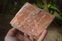 Natural New Sunset Orange Calcite Specimens  x 5 From Spitzkop, Namibia - Toprock Gemstones and Minerals 