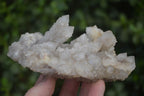 Natural Spirit Quartz Clusters x 2 From Boekenhouthoek, South Africa - Toprock Gemstones and Minerals 