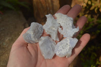 Natural Etched Blue Chalcedony Specimens x 70 From Nsanje, Malawi - Toprock Gemstones and Minerals 