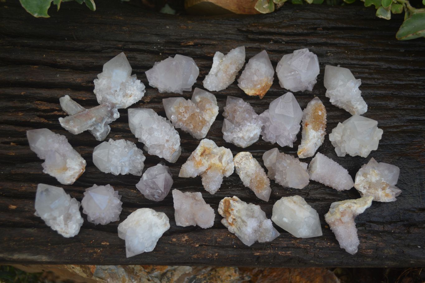 Natural Mixed Spirit Quartz Crystals  x 35 From Boekenhouthoek, South Africa - Toprock Gemstones and Minerals 