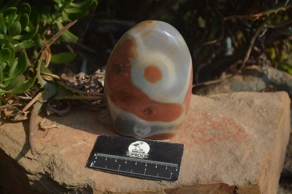Polished Polychrome Jasper Standing Free Forms  x 3 From Mahajanga, Madagascar - Toprock Gemstones and Minerals 