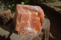 Natural New Sunset Orange Calcite Specimens  x 5 From Spitzkop, Namibia - Toprock Gemstones and Minerals 