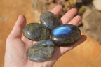 Polished  Flashy Labradorite Palm Stones  x 12 From Madagascar - Toprock Gemstones and Minerals 