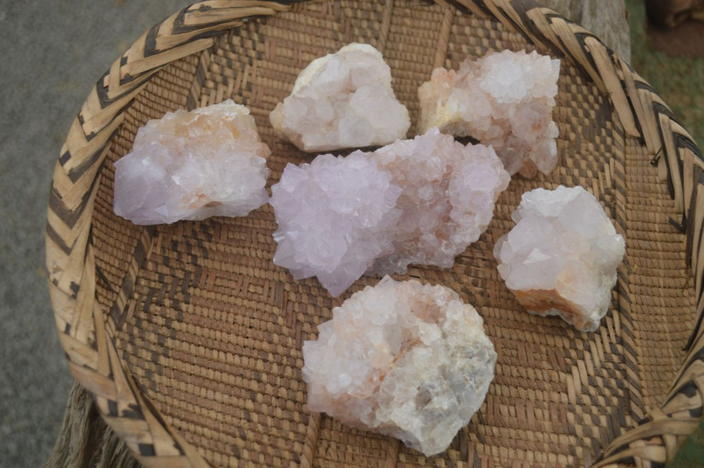 Natural Spirit Cactus Flower Quartz Clusters x 6 From Boekenhouthoek, South Africa - Toprock Gemstones and Minerals 