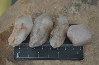 Natural Pineapple Candle Quartz Crystals  x 35 From Antsirabe, Madagascar - Toprock Gemstones and Minerals 