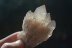 Natural White Phantom Smokey Quartz Crystal Specimens  x 12 From Luena, Congo - Toprock Gemstones and Minerals 