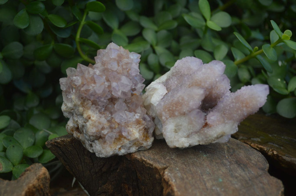 Natural Mixed Spirit Amethyst Quartz Clusters  x 6 From Boekenhouthoek, South Africa - Toprock Gemstones and Minerals 