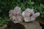 Natural Mixed Spirit Amethyst Quartz Clusters  x 6 From Boekenhouthoek, South Africa - Toprock Gemstones and Minerals 