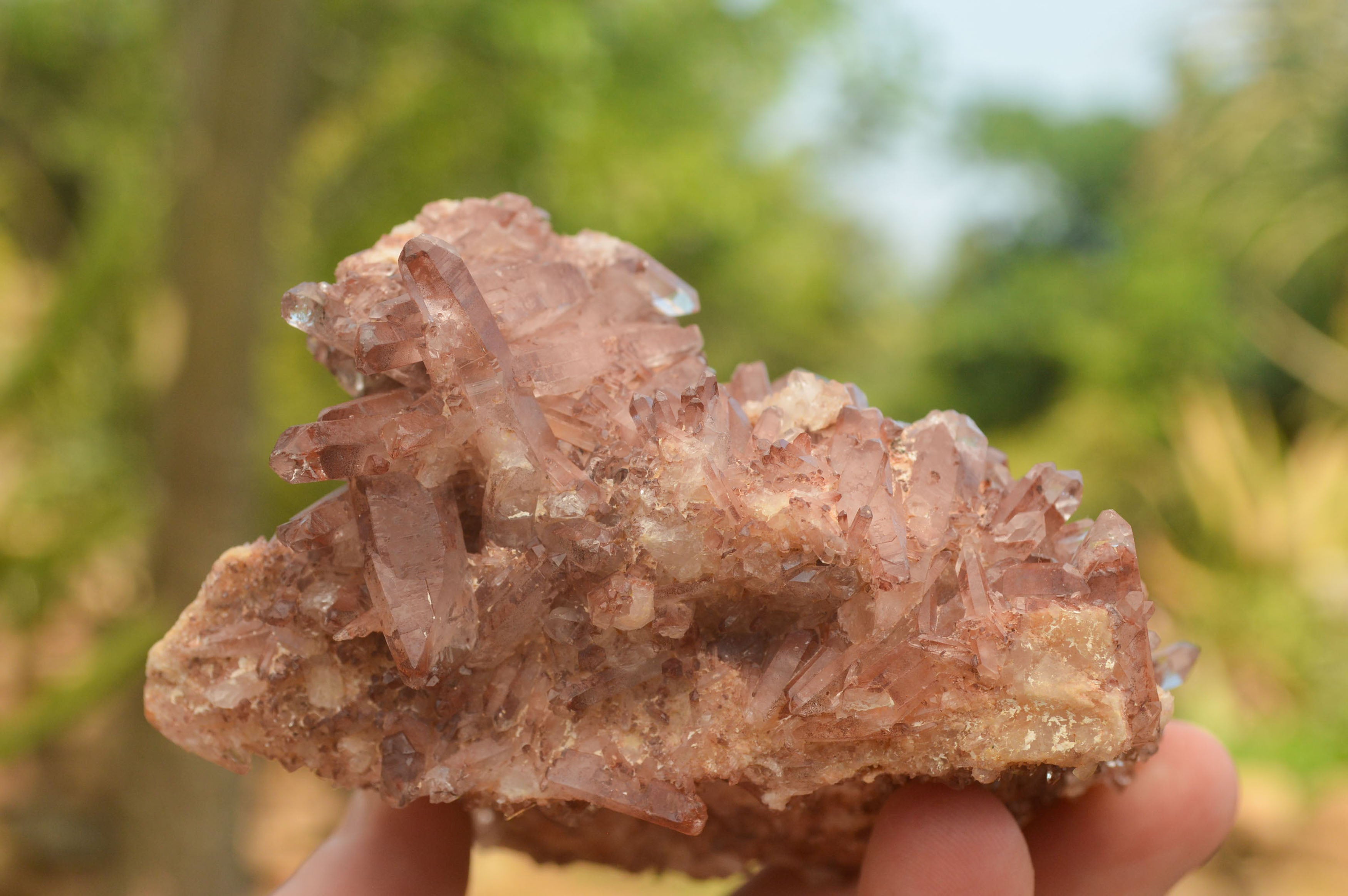 Natural Red Hematoid Quartz Specimens  x 2 From Zambia - TopRock