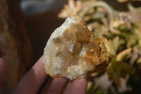 Natural Limonite Quartz Clusters x 24 From Solwezi, Zambia - Toprock Gemstones and Minerals 