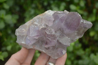 Natural Jacaranda Amethyst Clusters x 2 From Zambia - Toprock Gemstones and Minerals 