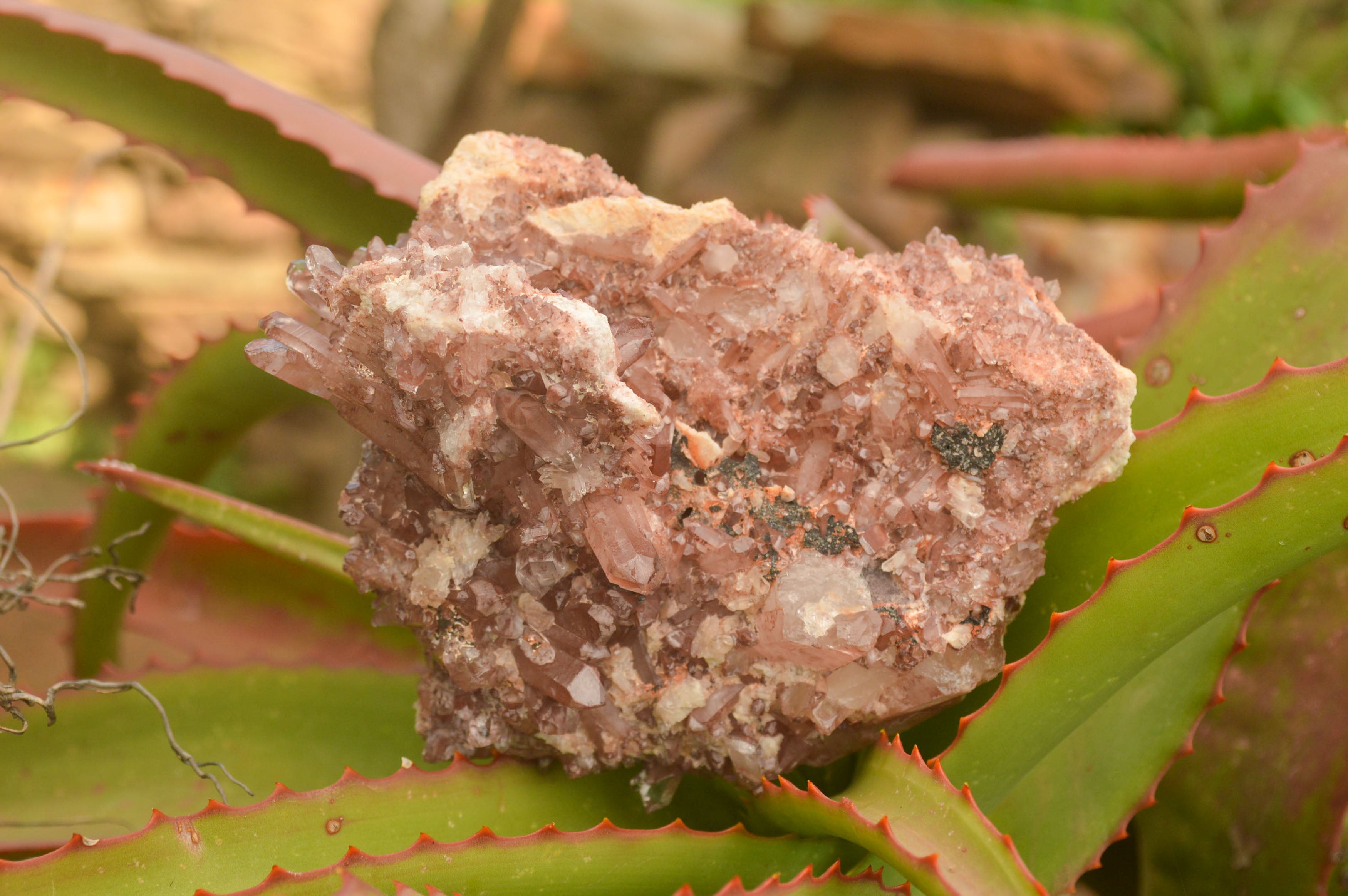 Natural Red Hematoid Quartz Specimens  x 2 From Zambia - TopRock