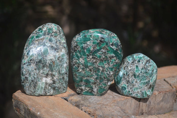 Polished Rare Emerald In Matrix Standing Free Forms  x 3 From Sandawana, Zimbabwe - Toprock Gemstones and Minerals 