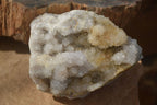 Natural Spirit Quartz Clusters x 2 From Boekenhouthoek, South Africa - Toprock Gemstones and Minerals 