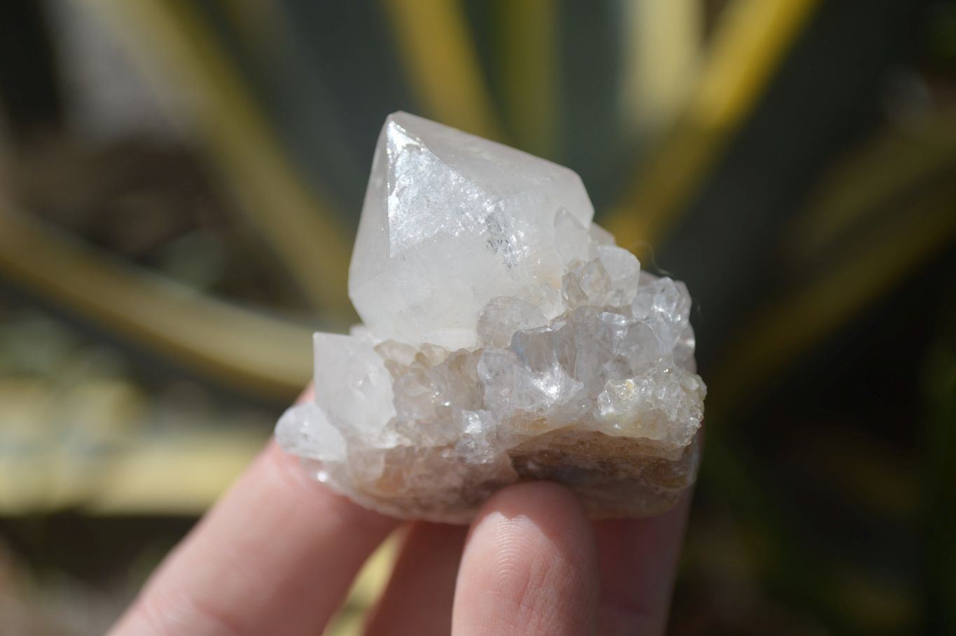 Natural Mixed Spirit Quartz Crystals  x 35 From Boekenhouthoek, South Africa - Toprock Gemstones and Minerals 
