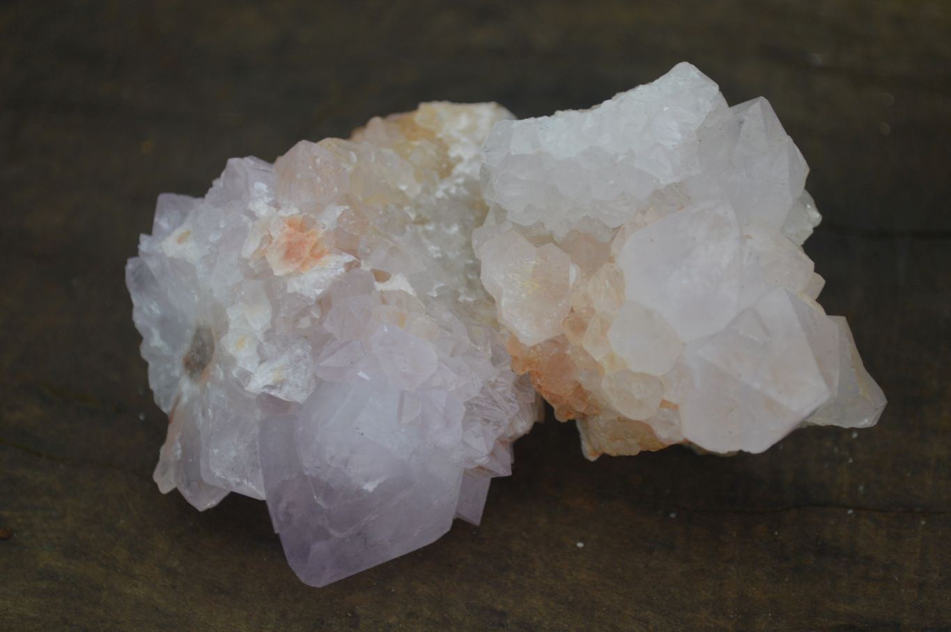 Natural Spirit Cactus Flower Quartz Clusters x 6 From Boekenhouthoek, South Africa - Toprock Gemstones and Minerals 
