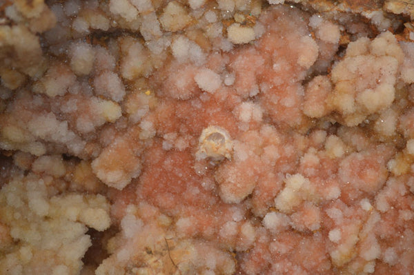 Natural Extra Large Hematoid Spirit Quartz Crystal Plate Specimen x 1 From Boekenhouthoek, South Africa - Toprock Gemstones and Minerals 