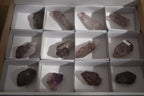 Natural Skeletal Smokey Amethyst Crystals  x 12 From Chiredzi, Zimbabwe - Toprock Gemstones and Minerals 