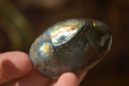 Polished  Flashy Labradorite Palm Stones  x 12 From Madagascar - Toprock Gemstones and Minerals 