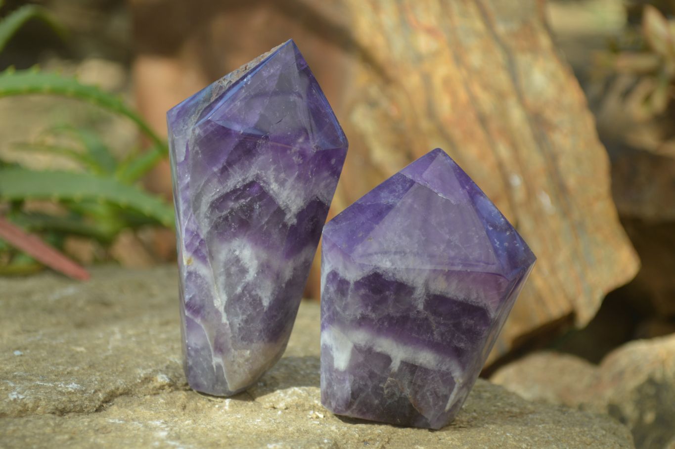 Polished Dream Amethyst Points x 3 From Ambatondrazaka, Madagascar - Toprock Gemstones and Minerals 