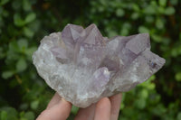 Natural Jacaranda Amethyst Clusters x 2 From Zambia - Toprock Gemstones and Minerals 
