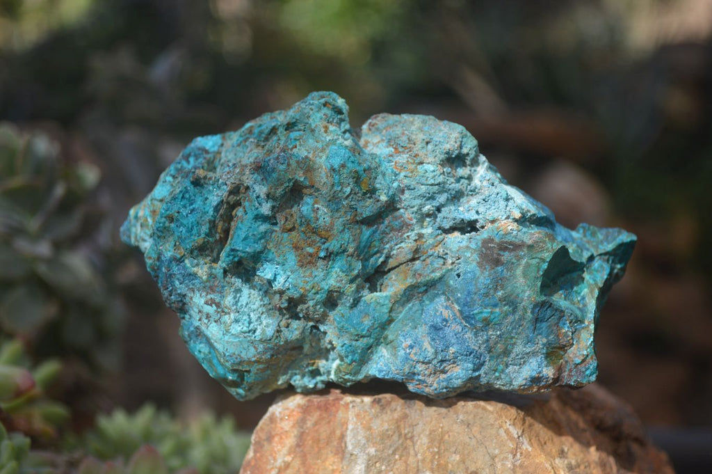 Natural Rough Shattuckite Cobbed Specimens x 6 From Kaokoveld, Namibia - Toprock Gemstones and Minerals 
