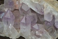 Natural Jacaranda Amethyst Clusters x 2 From Zambia - Toprock Gemstones and Minerals 