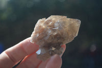 Natural White Phantom Smokey Quartz Crystal Specimens  x 12 From Luena, Congo - Toprock Gemstones and Minerals 