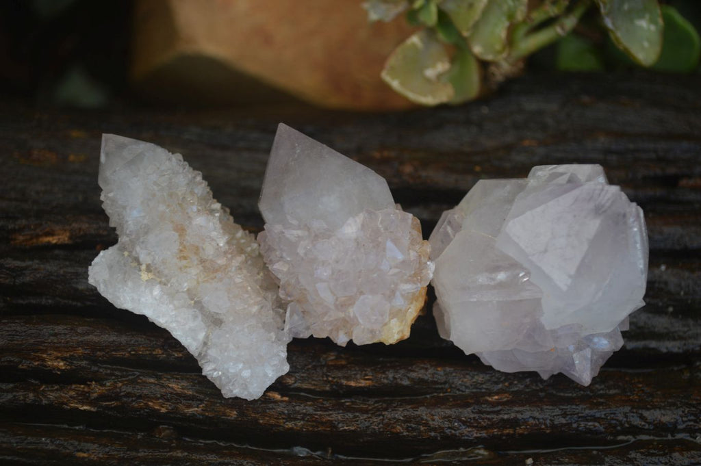 Natural Mixed Spirit Quartz Crystals  x 35 From Boekenhouthoek, South Africa - Toprock Gemstones and Minerals 