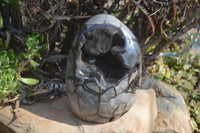 Polished Septerye Sauvage Dragon Egg x 1 From Mahajanga, Madagascar - Toprock Gemstones and Minerals 