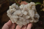 Natural Spirit Quartz Clusters x 2 From Boekenhouthoek, South Africa - Toprock Gemstones and Minerals 