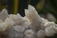 Natural Spirit Quartz Clusters x 2 From Boekenhouthoek, South Africa - Toprock Gemstones and Minerals 