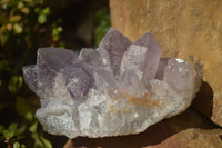 Natural Jacaranda Amethyst Clusters x 2 From Zambia - Toprock Gemstones and Minerals 