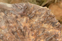 Natural Red Hematoid Quartz Specimens  x 2 From Zambia - TopRock