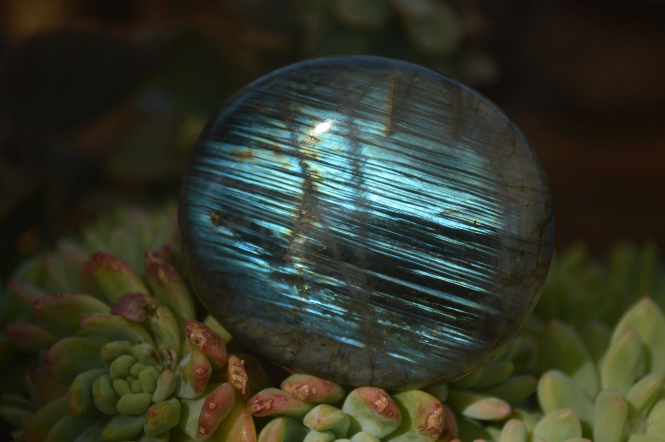 Polished  Flashy Labradorite Palm Stones  x 12 From Madagascar - Toprock Gemstones and Minerals 