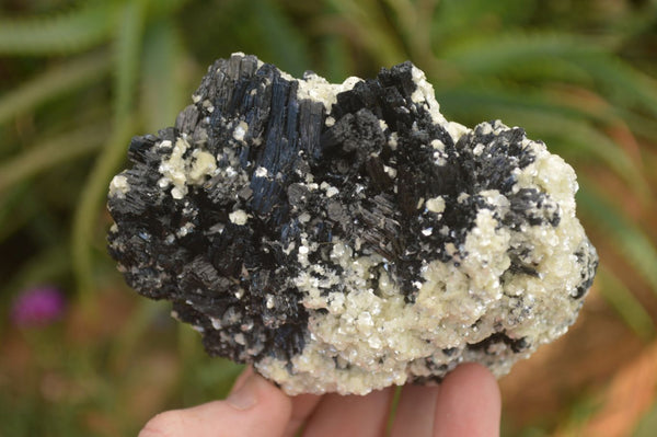 Natural Schorl Black Tourmaline Specimens x 2 From Erongo, Namibia