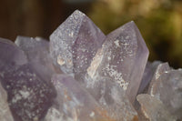 Natural Jacaranda Amethyst Clusters x 2 From Zambia - Toprock Gemstones and Minerals 