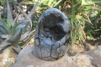 Polished Septerye Sauvage Dragon Egg x 1 From Mahajanga, Madagascar - Toprock Gemstones and Minerals 