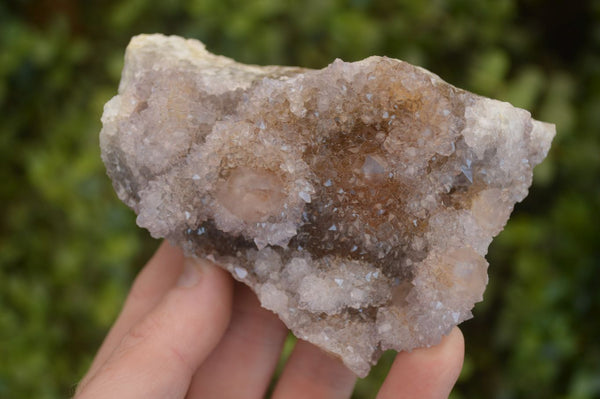 Natural Spirit Amethyst Quartz Clusters x 2 From Boekenhouthoek, South Africa - Toprock Gemstones and Minerals 