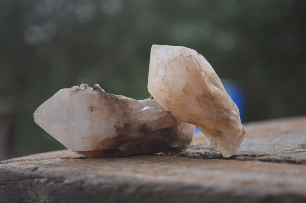 Natural Pineapple Candle Quartz Crystals  x 35 From Antsirabe, Madagascar - Toprock Gemstones and Minerals 