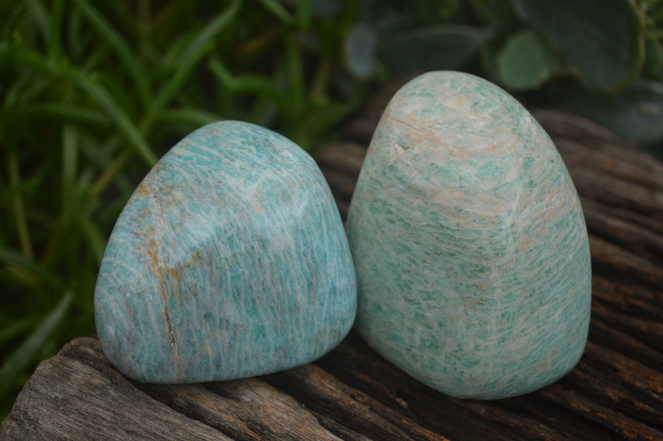 Polished Kobi Amazonite Free Forms  x 12 From Zimbabwe - TopRock