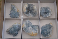 Natural Blue Celestite Crystal Specimens  x 6 From Sakoany, Madagascar - Toprock Gemstones and Minerals 