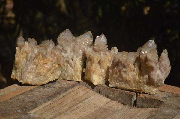 Natural Cascading White Phantom Smokey Quartz Clusters  x 4 From Luena, Congo - Toprock Gemstones and Minerals 