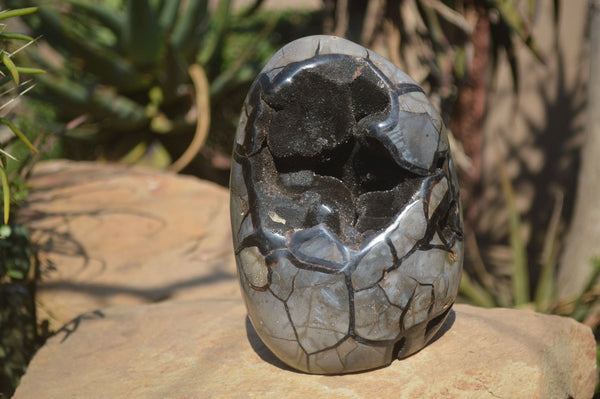 Polished Septerye Sauvage Dragon Egg x 1 From Mahajanga, Madagascar - Toprock Gemstones and Minerals 