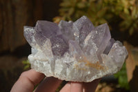 Natural Jacaranda Amethyst Clusters x 2 From Zambia - Toprock Gemstones and Minerals 