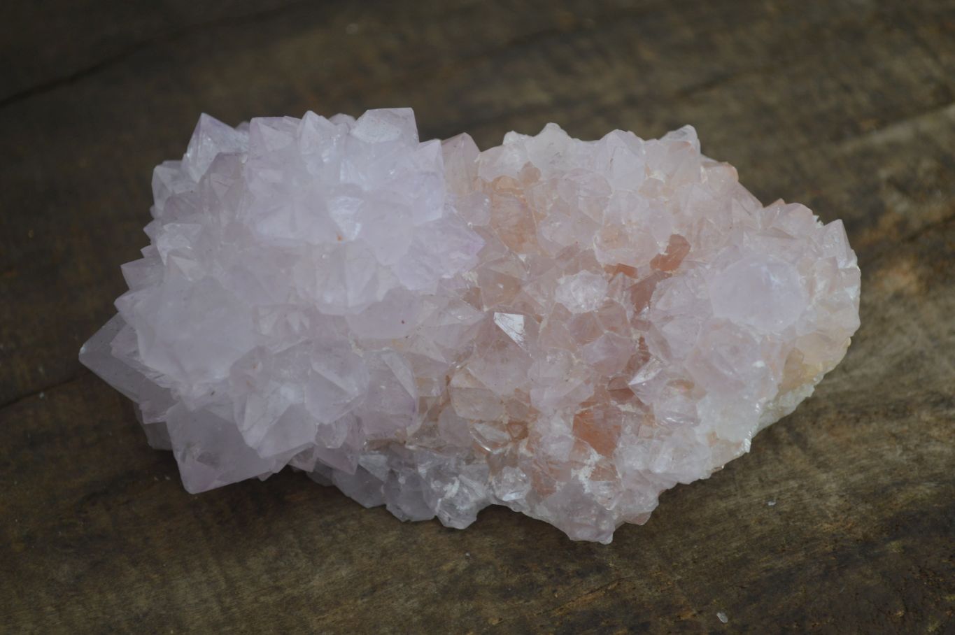 Natural Spirit Cactus Flower Quartz Clusters x 6 From Boekenhouthoek, South Africa - Toprock Gemstones and Minerals 