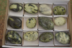 Polished Spotted Leopard Stone Gallets  x 12 From Zimbabwe - Toprock Gemstones and Minerals 