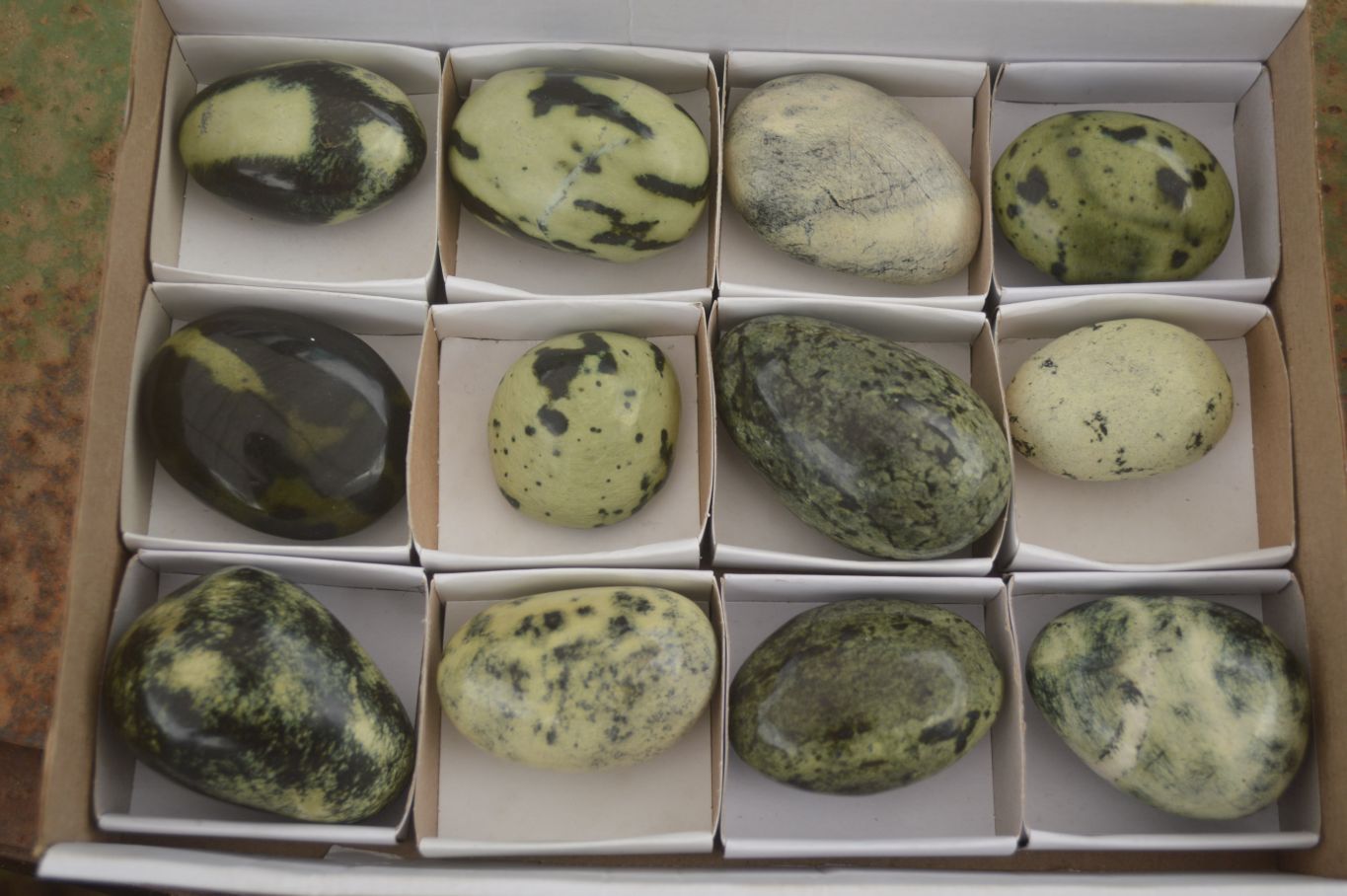 Polished Spotted Leopard Stone Gallets  x 12 From Zimbabwe - Toprock Gemstones and Minerals 