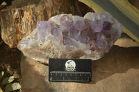 Natural Jacaranda Amethyst Clusters x 2 From Zambia - Toprock Gemstones and Minerals 